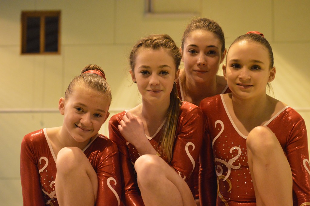 AVL gym - equipe prefederale fevrier 2014