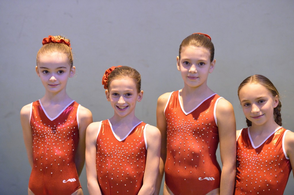 AVL gym - equipes benjamines fevrier 2014