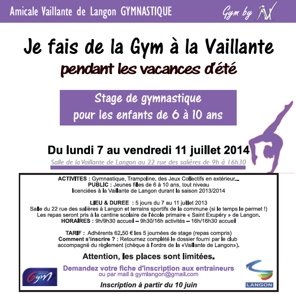 affiche stage gym loisir 2014